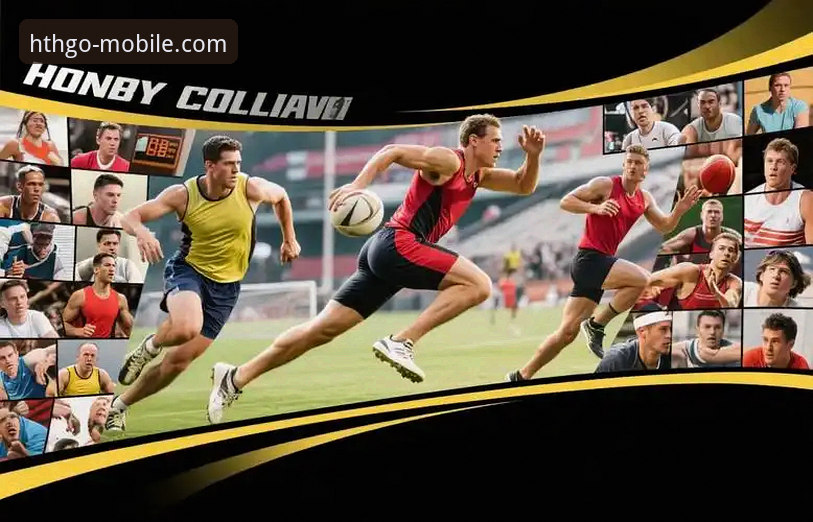 华体会体育手机版官网最新版下载与使用详解